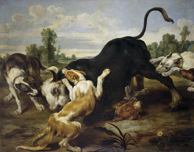Vos, Paul de 1591/95-1678 - Toro rendido por perros