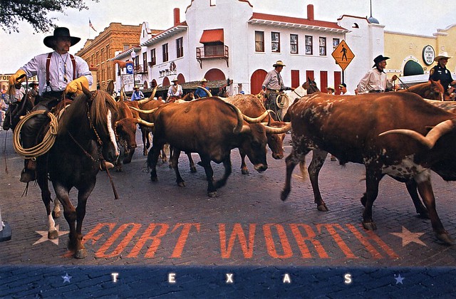 Postcards: Cattle drive in Ft. Worth, Texas
