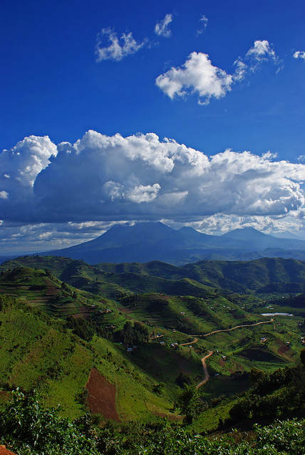 Uganda, Virunga Volcanos