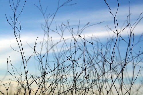 A New Day - 20/365 | by forty-onecrush