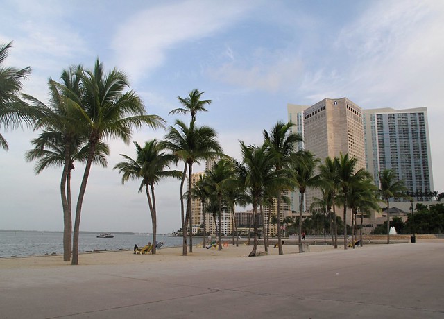 Downtown Miami By Bayfront Park