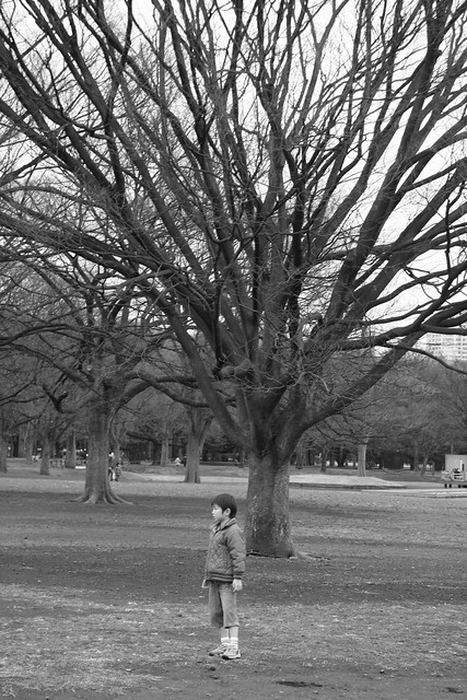 growin' in Yoyogi Park Tokyo almost Spring 09