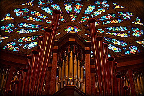 college church architecture university cathedral tennessee gothic goth chapel stainedglass stainedglasswindow episcopal pipeorgan gothicarchitecture sewanee rosewindow ecclesiastic universityofthesouth allsaintschapel matriculate eccesiastical