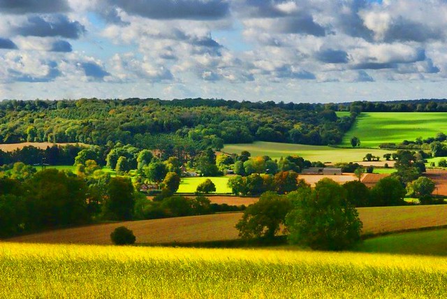 A Chiltern Valley (at the end of Summer)