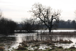 Winter Flood, Grantchester Meadows
