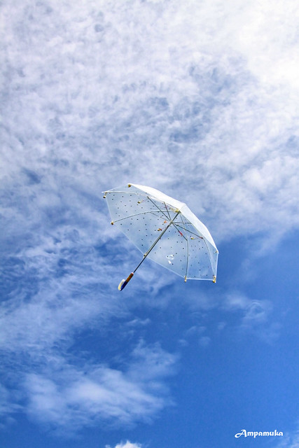 Flying Umbrella Of 