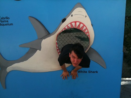 Sharkattack! | by colemoldy