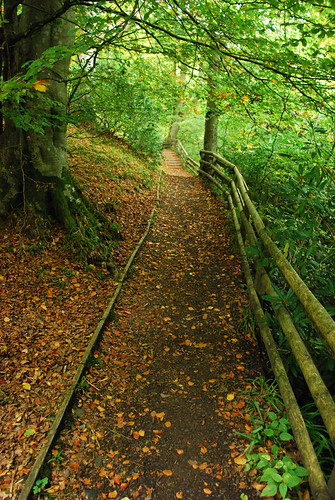 Calderglen Langland Footpath | by James B Brown