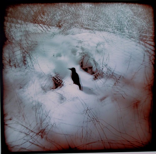 Winter Whirl by John Fobes by John Fobes | by john_fobes