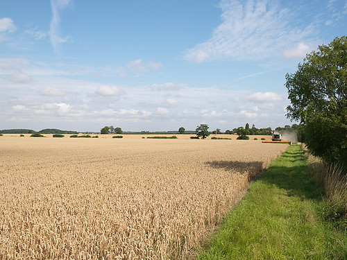 SSL_Bakery_Field_09_ 0015_prv | by Bakery & Field