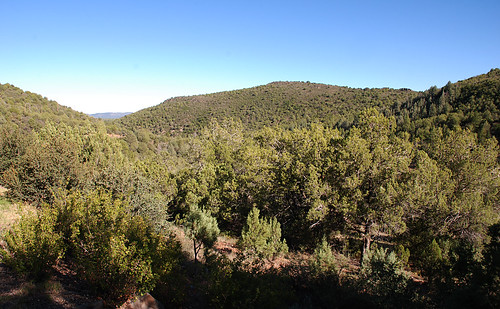 arizona rimcountry