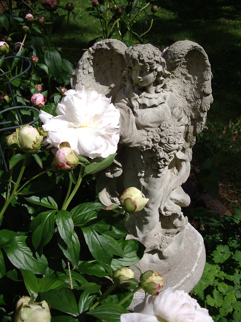 angel with peonies ~ 2010