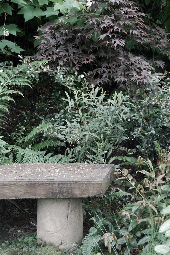 Kubota Garden Seattle Wa Jizutsu Flickr