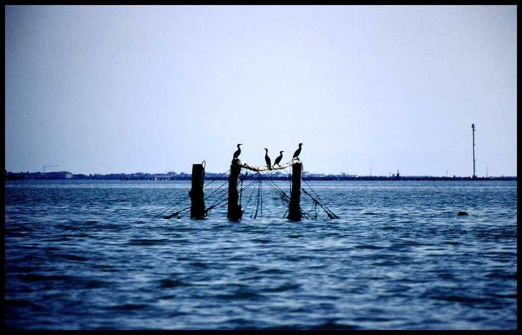 Laguna di Venezia - Venice Lagoon