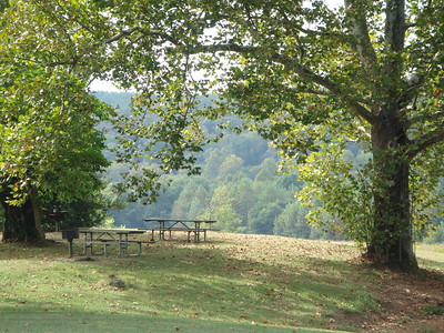 photo of park picnic tables