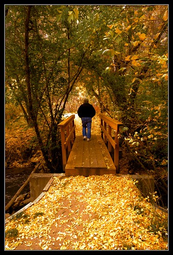 bridge autumn trees usa fall colors leaves landscape nikon october dad 2009 logancanyon d90 sumsion nikond90 sumsioncom