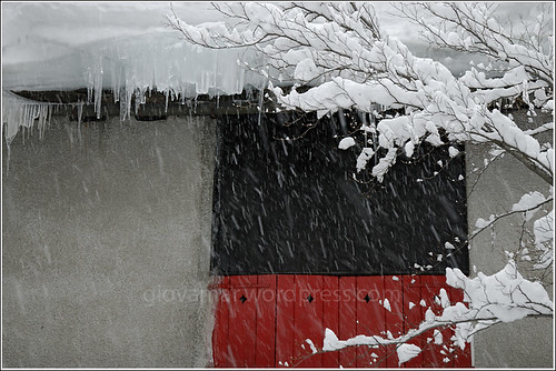 nevicata, gennaio 2009 by giovamar