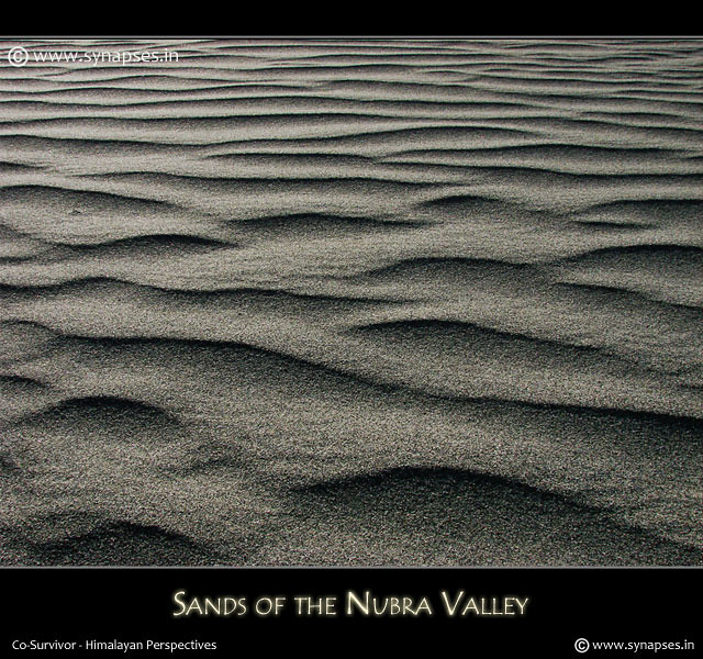 Sands of the Nubra Valley