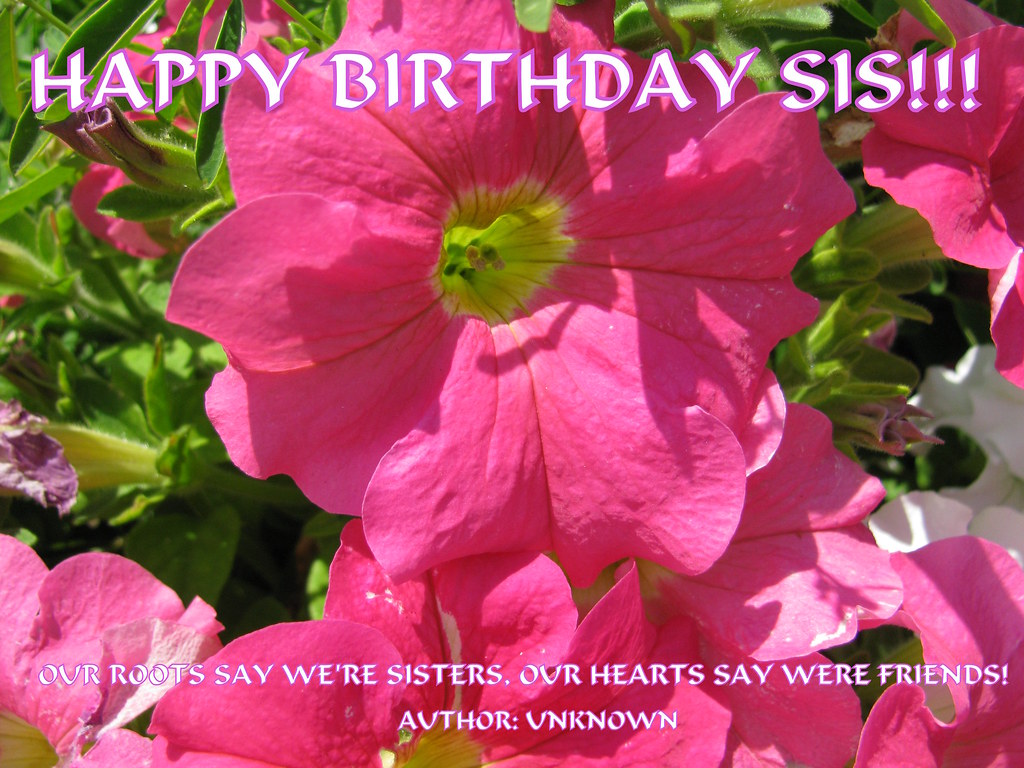 HAPPY BIRTHDAY SIS!!! I LOVE YOU :-) | A sister is a gift to… | Flickr