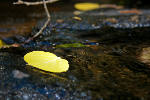 water colorado stream aspen