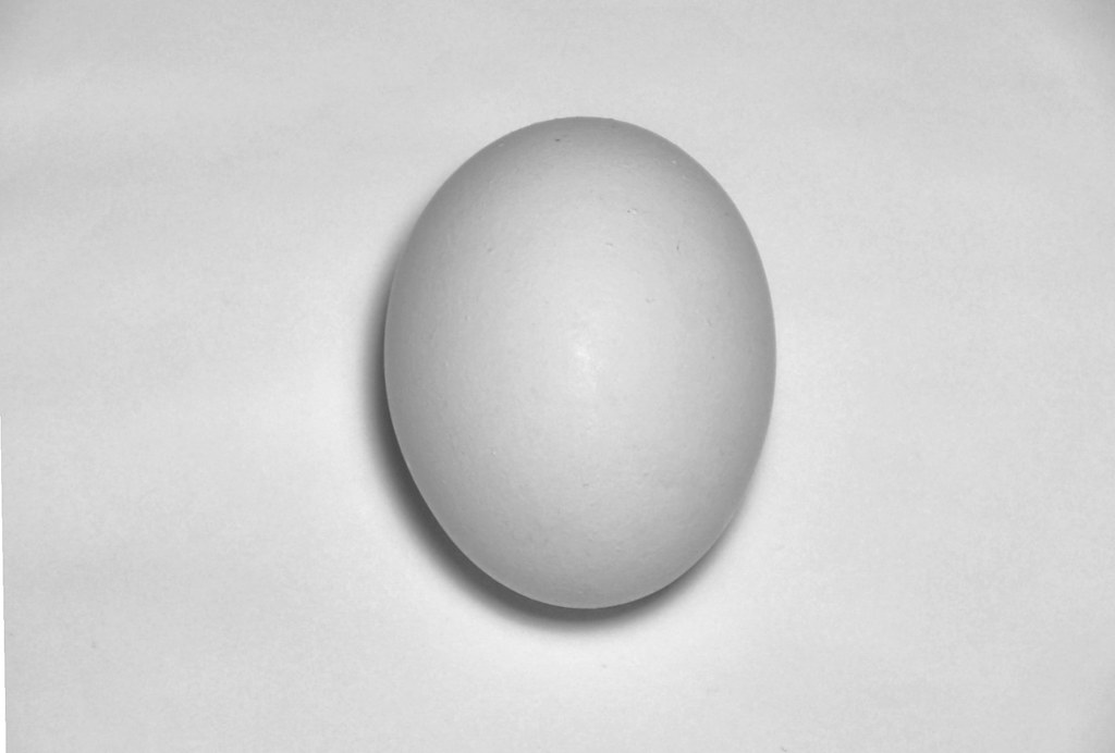 Egg by androosh