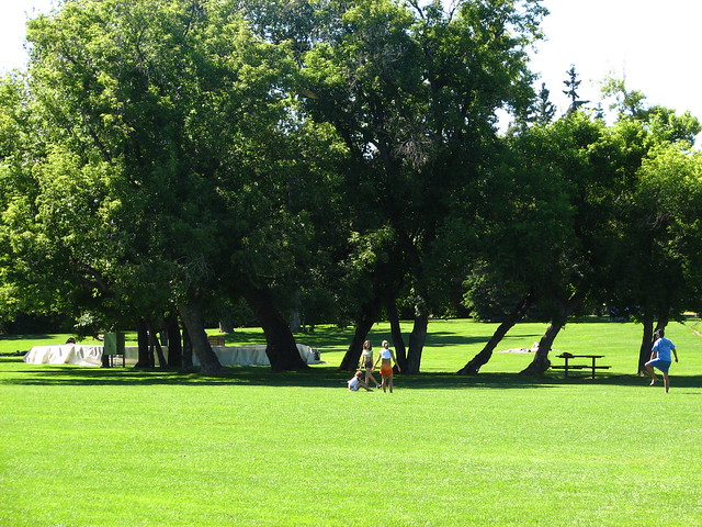 Calgary's Riley Park