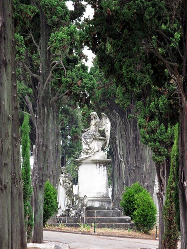 Cemitério dos Prazeres | by Morgaine
