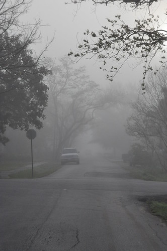 Fog | by quezmar411