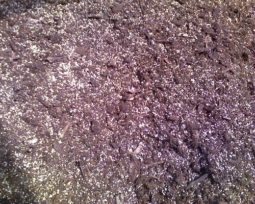 090322MixedSoilCloseup | by bradzone