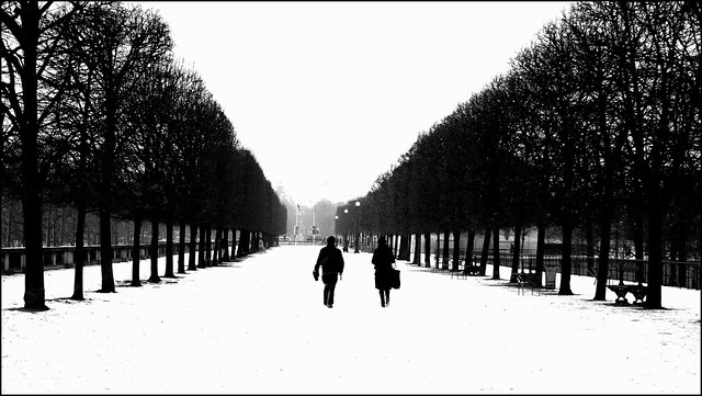 Winter garden ~ Les Tuileries ~ Paris ~ MjYj