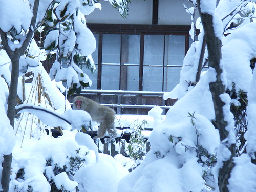 Nagano - Trip to hotsprings | by lameken5050