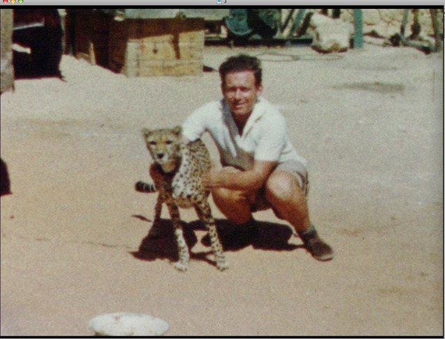 My Dad and his pet cheetah