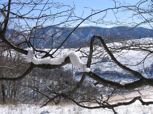lebanon snow virginia clinchmountain