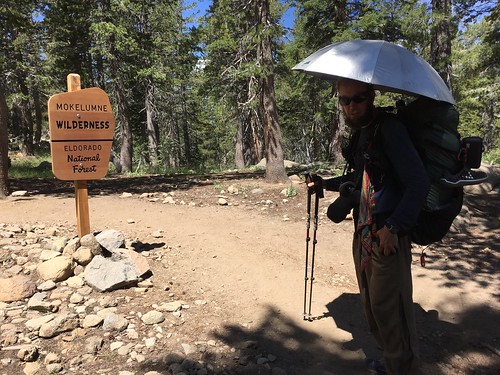 PCT: Day 84