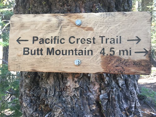 PCT: Day 99