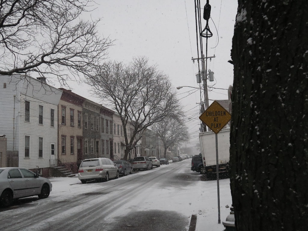 Bradford Street -Albany, NY | The winter of 2015 - 2016 was … | Flickr