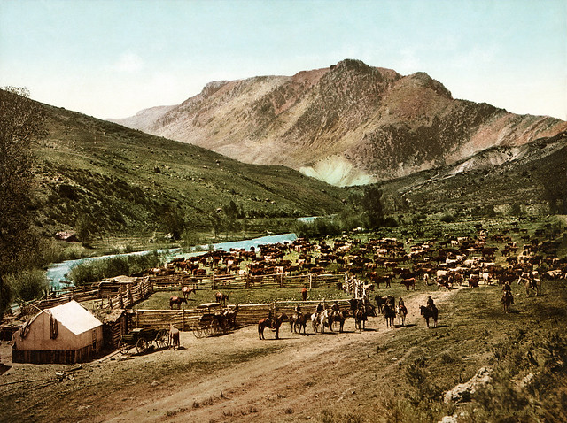 Round-up on the Cimarron, Colorado, 1898