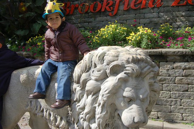 Brookfield Zoo Visit