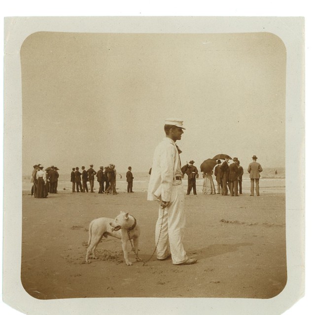Dapper Gentleman on beach with Pit Bull