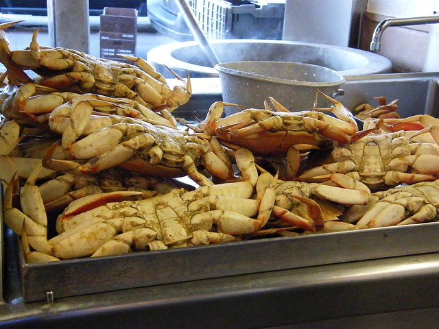 Crabs at Fisherman's Wharf