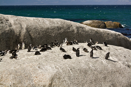 Cape Town