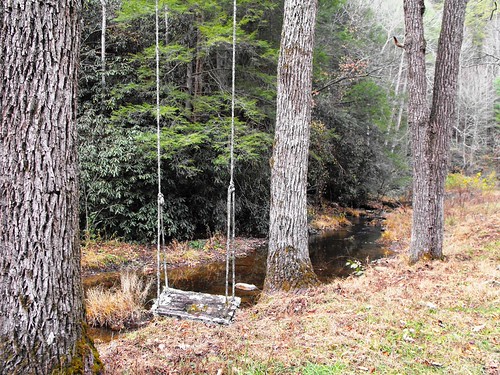 664 Fingerboard Rd Reliance TN | by terry_barnette