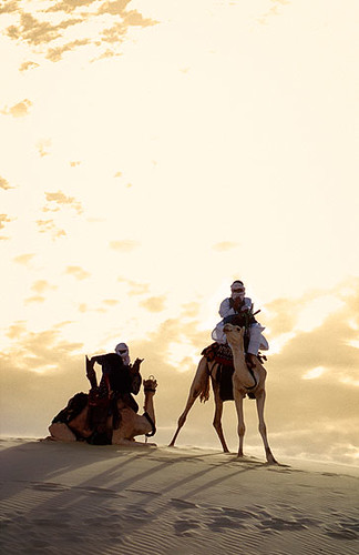 africa festival desert au dune camel mali tombouctou timbuktu duna camello tuareg dromedario