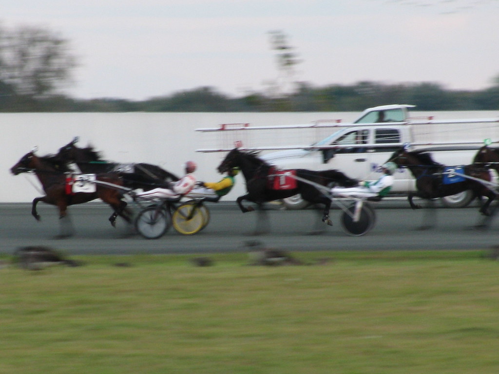 Harness Racing Harrah's Chester PA September 30, 2009 094 | Flickr