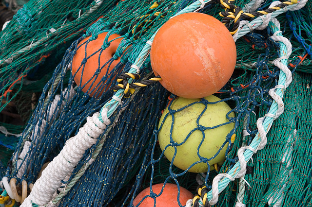 New fishing nets 2