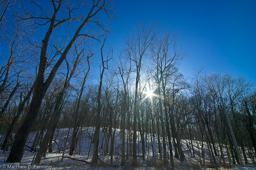 blue winter snow tree sunshine landscape pentax branches bluesky flare 2009 centralillinois mattpenning elkhartillinois k20d penningphotography pentaxk20d elkharthill