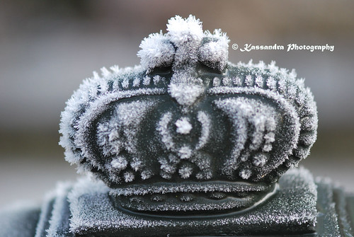 The crown in frost... by tatyveli