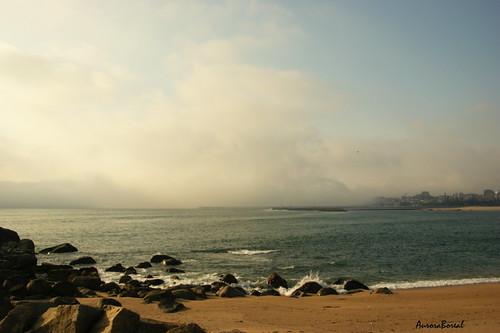 a neblina invadindo a cidade...mist invading the city | by @uroraboreal