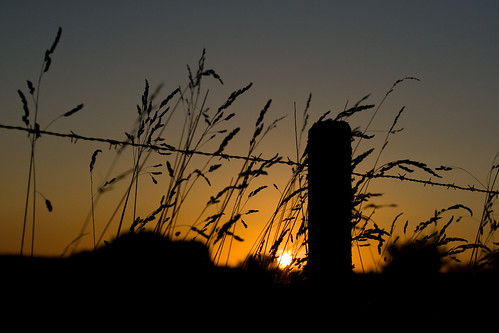 Coucher de soleil / IMG_3504 | Flavio | Flickr