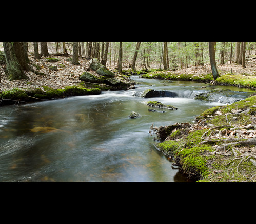 county light green nature water colors digital forest river moss spring nikon rocks raw north may newengland streams nikkor 1870mm d7000 artistoftheyearlevel3 artistoftheyearlevel4